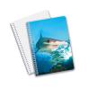 Buy cheap School Stationery 3D Lenticular Advertising Custom Spiral Notebooks for Children Promotion Gift from wholesalers
