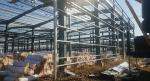 Prefabricated Steel Structure Warehouse Steel Structure Machinery Industrial