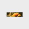 Buy cheap 16.8 inch Bar Type LCD Display 1366*384 LVDS 700nits from wholesalers