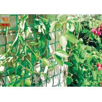 Buy cheap Plastic Garden Netting For Climbing Plants , Garden Fence Roll With UV product