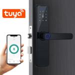 Fingerprint Password Electromagnetic Lock Intelligent Tuya 300ma 4.5V