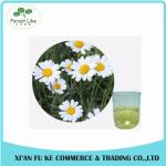 High Quality Pyrethrum Extract 25 %-50 % Pyrethrin Oil