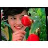 Buy cheap Bus Station Advertising SMD2121 P5 Indoor Led Display from wholesalers