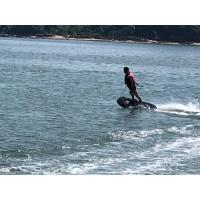 Buy cheap 52km Per Hour 120kg Seashores Carbon Fiber Surfboard product