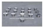 DN40-DN150 Cast Steel Sounding Tubes Pipe Head For Ballast Tank Butt Welding