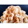Buy cheap 380V 50HZ Automatic Stand Up Pouch Packing Machine 5.5kw SUS304 Material from wholesalers