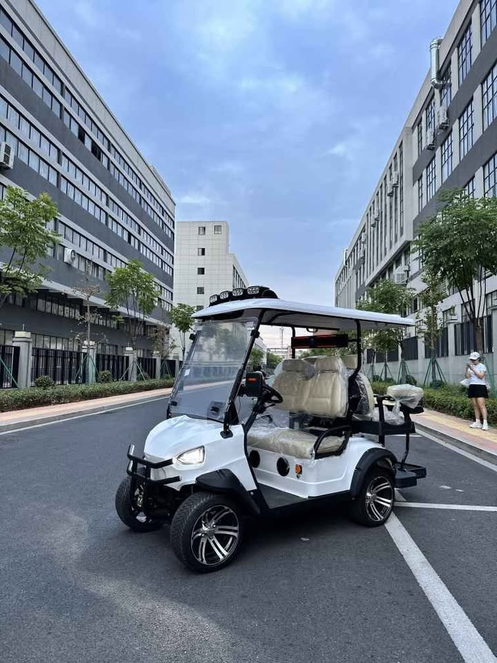 110v-220V Charging Input 4 Seater Golf Buggy Electric Vehicle With Seatbelts And Rollover Protection