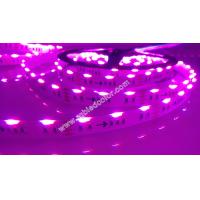 Buy cheap DC12V 24V 60/120 led side emitting led Cabinet Light product
