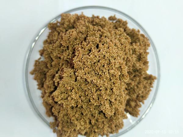 Chemical Pharmaceutical Coating Printing Sectors Industrial-Grade Macroporous