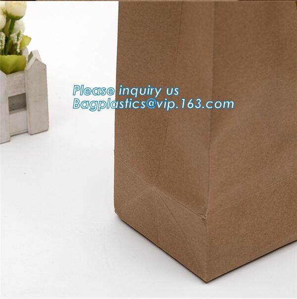 china custom design luxury shopping gift paper carrier bag template,Luxury Kraft Brown Paper Shopping Gift Jewelry Paper
