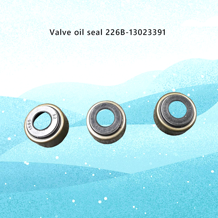 226B 1302339 Valve Oil Seal for Weichai 226B DEUTZ WP6 Diesel Engine Part Exceptional Performance and Efficiency