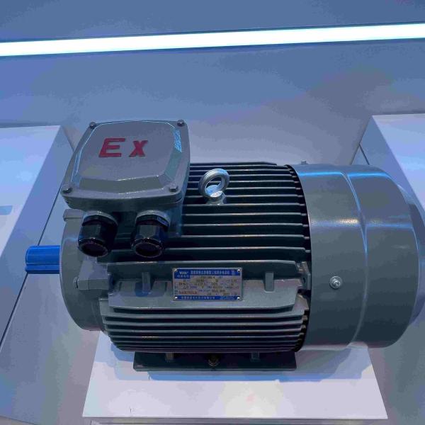 Buy cheap 3450 Rpm Medium Voltage Induction Motor High Efficient ROHS from wholesalers
