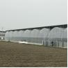 Buy cheap Large Size Plastic Film Greenhouse / Agriculture Greenhouse 20m - 100m Long from wholesalers
