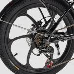 Adult Electric Folding Bike 20 Inch 6 Speed 36V 250W E Bike With LCD Display