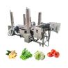 Buy cheap 380v/220v/Customizable Cassava Bubble Washing Machine for Washing Fruit Vegetable from wholesalers