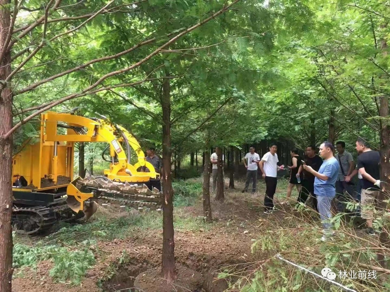 tree mover machine price manufacturer address how much money, tree digging machine moving tree machine manufacturer