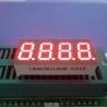 Buy cheap RoHS Four Digit 7 Segment Common Cathode Led Display White 0.36 Inch from wholesalers