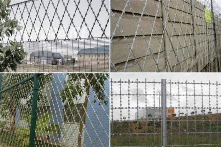 PVC Coated Manufacturers Three Blades Fine Welded Razor Wire Mesh China 2m× 6m Size
