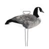 Buy cheap Upright Feeder 3D Silhouette Goose Hunting Decoy 5mm Thickness 1200g PP Board Black from wholesalers
