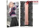 P3.9 Full Color Outdoor LED Screen Hire Waterproof IP65 500X1000mm Long Lifespan