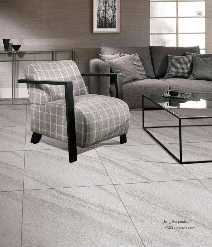 Antibacterial 600x600mm Full Body Porcelain Tiles And Gray Outdoor Wall Tile For Kitchen And Apartment