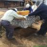 Buy cheap Manufactured Gabion Planter Box Cutting Service for Outdoor Steel Containment Walls from wholesalers