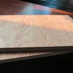 Furniture Moisture Proof 18mm 12mm Bintangor Plywood