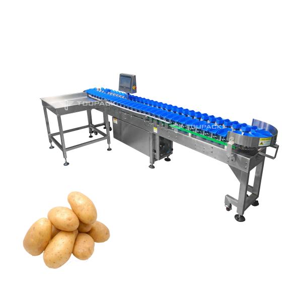 Stainless Steel Tomato Garlic Onion Sorting Machine Potato Grading Size Grader