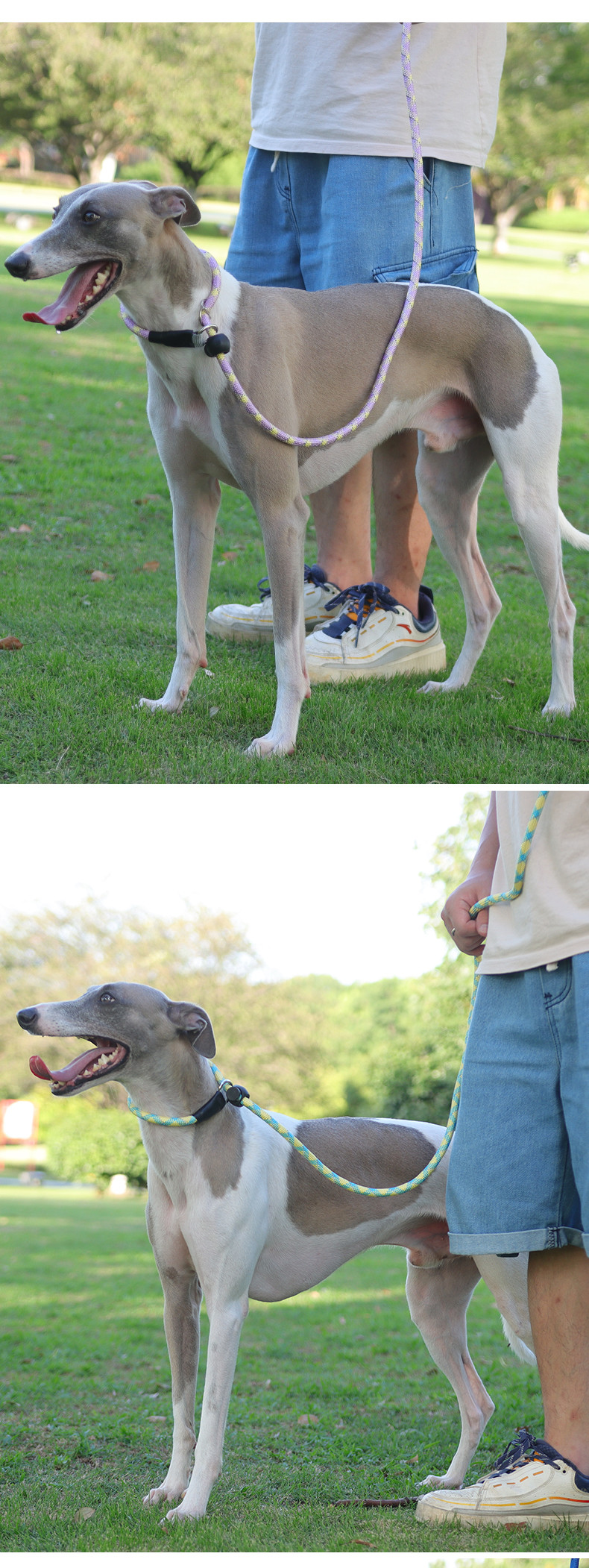 Pet Nylon Adjustable Leash No Hand-Tightening Dog Explosion-Proof Reflective Integrated Dog Leash