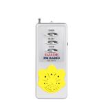 FM Frequency 88-108MHz Auto Scan Radio Built-In Speaker For Promotional Gift OEM