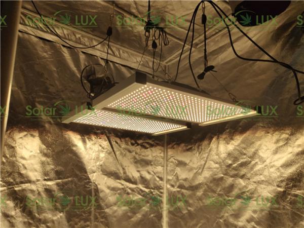 Buy cheap 630Watt Aluminum Horticultural 4x4 Led Grow Light from wholesalers