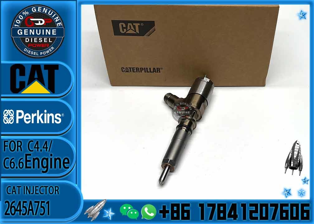 Diesel Fuel Injector 2645A751 321-3600 320-0677 320-0690 320-0680 2645A709 295-9130 382-0480