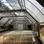 High Quality Commercial Hemp Automated Light Deprivation Blackout Greenhouse