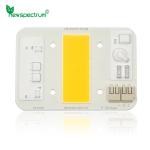 100W LED COB Chip