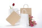 craft paper shopping bag