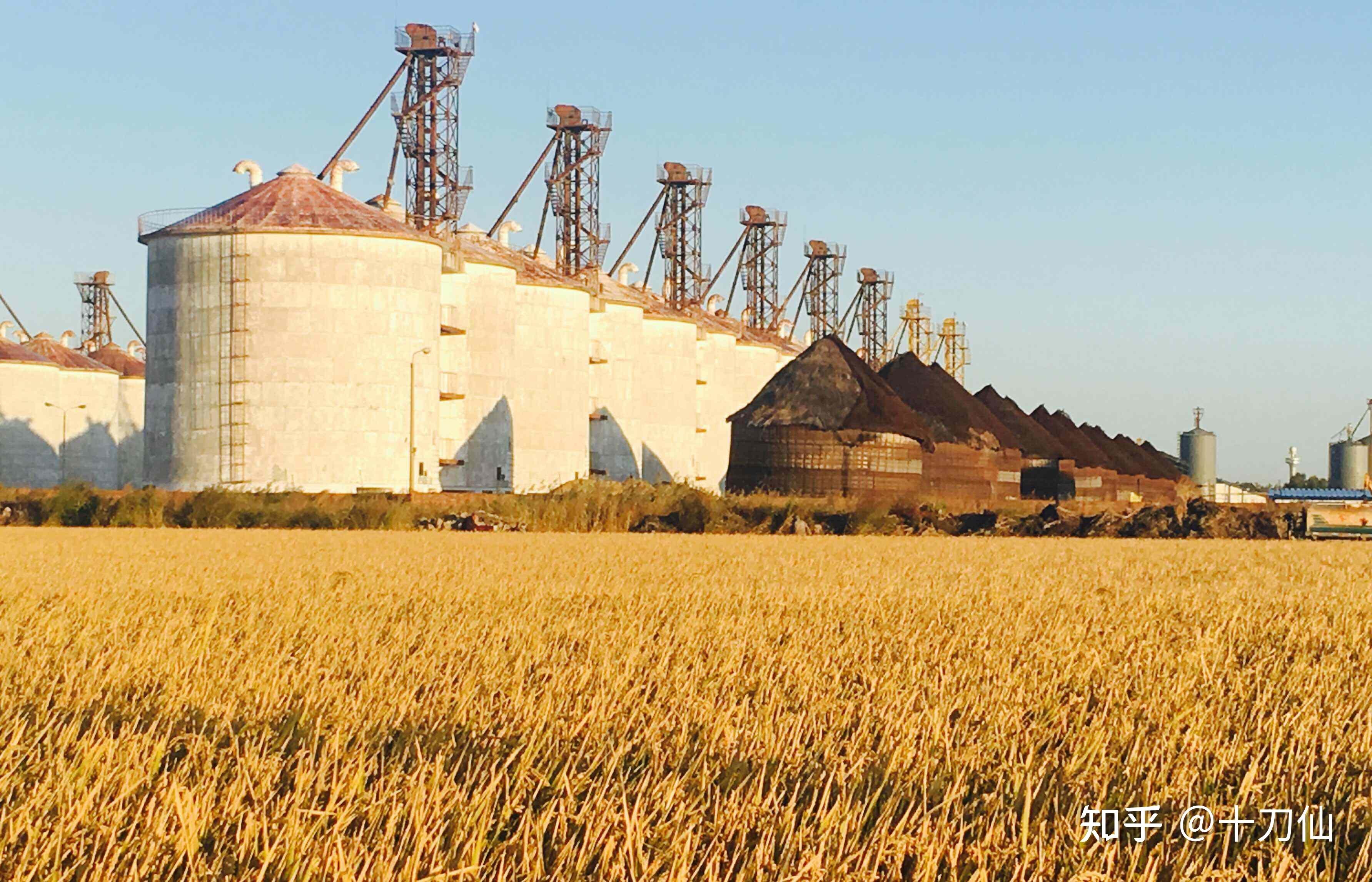 PSA Nitrogen Generator For Chemical Free And Green Grain Storage Solutions