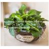 Buy cheap China manufacturer wicker garden baskets willow plant baskets round shape wall stick from wholesalers