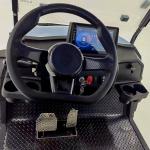 Electric Lithium Golf Cart Golf Cart Club Car with 830 Kg Load Capacity