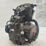 LF Wolf 250cc Motorcycle Engine Water Cooled 4 Stroke Engine for Superior