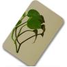 Buy cheap Ti Gold Black Bronze Mirror Stainless Steel Sheet For Elevator Panel from wholesalers