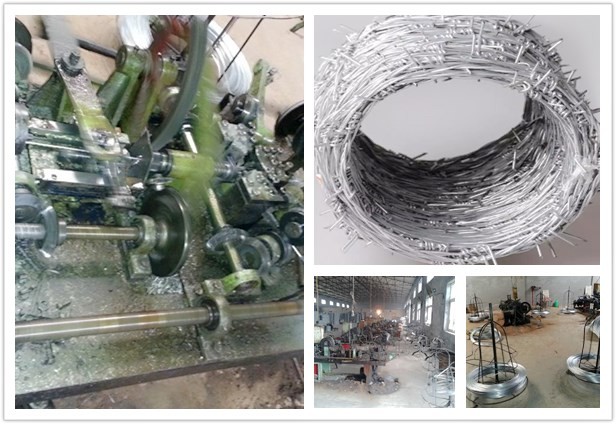 High Quality PVC Coated Double Twisted Barbed Wire BWG12 for Pasturage Boundary