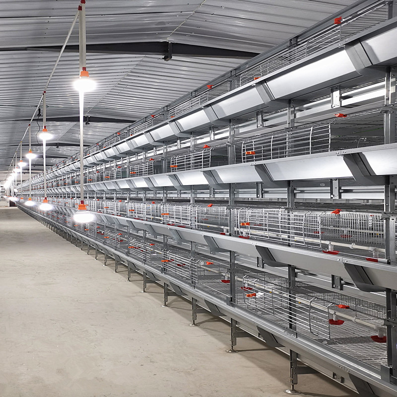 H Frame Chicken Broiler Cage Galvanized 100*100*285 Cm 3 Tiers