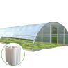 Buy cheap Vegetable Growing Plastic Film Greenhouse / Tunnel Single Span Greenhouse from wholesalers