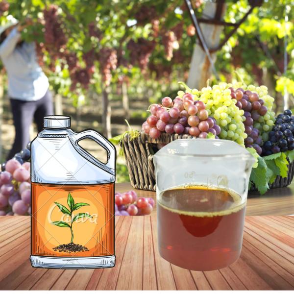 Liquid Amino Acid Foliar Fertilizer Peptides Chelate ZnMnBMo 550g/L For