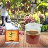 Buy cheap Liquid Amino Acid Foliar Fertilizer Peptides Chelate ZnMnBMo 550g/L For Agricultural Farm from wholesalers