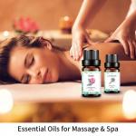 OEM ODM Geranium Aromatherapy Oil Organic Essential Oil Set 10ml For Gifts