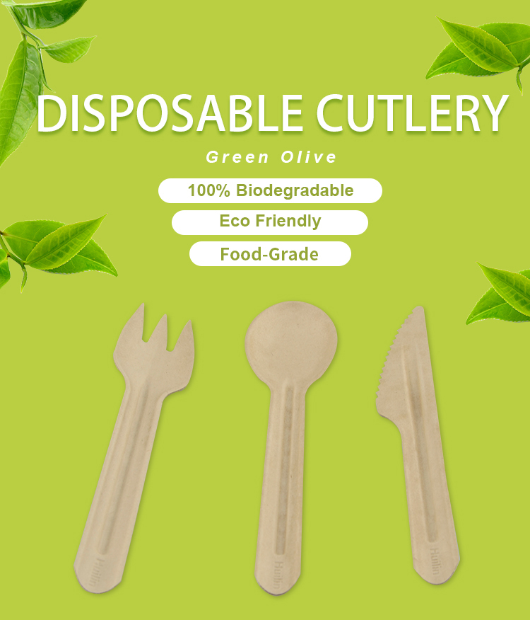 16cm Bagasse Biodegradable Disposable Utensils For Party Factory Wholesale