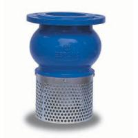 Buy cheap Ductile Iron / Stainless Steel Water Pump Foot Valve With SS304 Strainer , product
