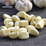 90KG 220V Stainless steel garlic shallot peeling machine peeling machine small