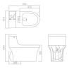 Buy cheap UPC Single Flush One Piece Toilets Sanitary Ware S trap 300mm from wholesalers